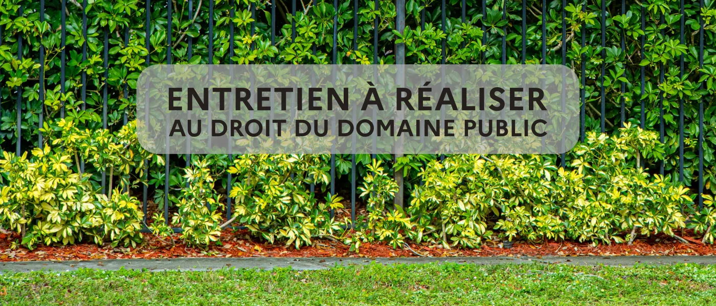 Quelques rappels d'entretien à réaliser au droit du domaine public