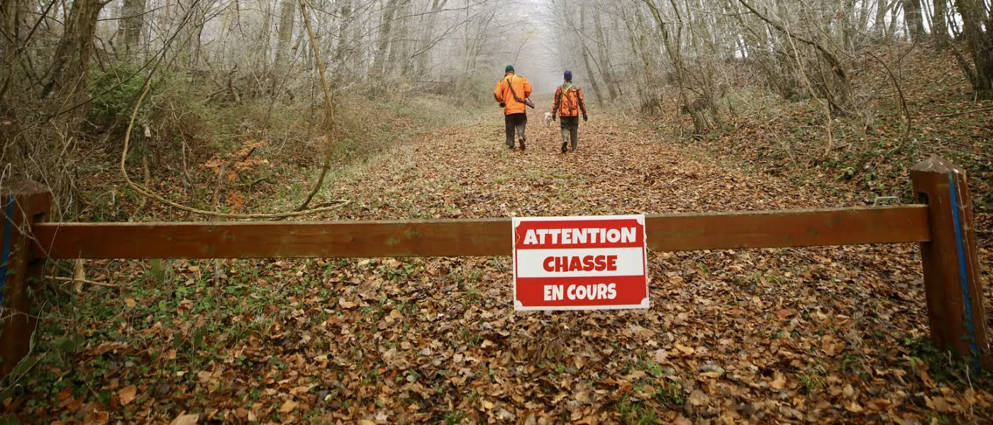 Période de chasse dans les bois communaux à Villequiers