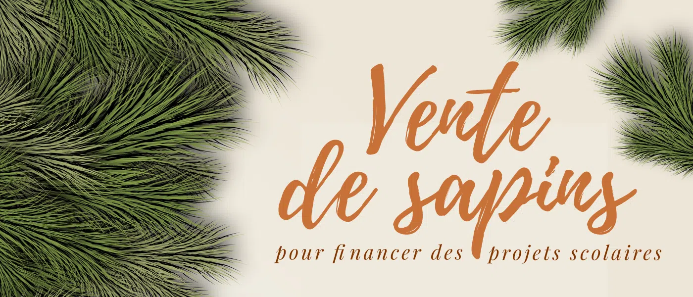 Vente de sapins de Noël pour financer des projets scolaires